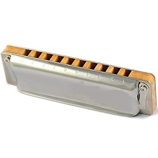 YINGJUN M20 Harmonica diatonique 10 Trous 20 Notes Blues Harp Clé de C D Musical Instruments Professionnels (Color : 7… - Les Beatles, Paul McCartney, John Lennon, RIngo Starr, George Harrison YINGJUN M20 Harmonica diatonique 10 Trous 20 Notes Blues Harp Clé de C D Musical Instruments Professionnels (Color : 7… – Image 3