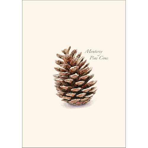 Image of Earth Sky + Water - Pine Cone Notecard Set - 8 Blank Cards with Envelopes