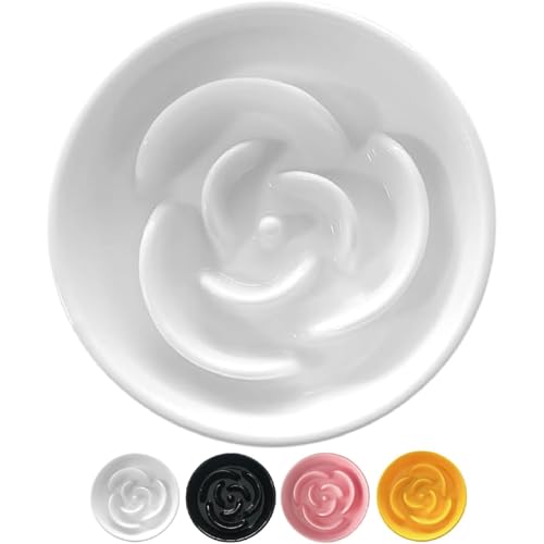 Vlwm 퐻Hh~M [Y Hh~ M   L H M ͂M GTM ybg{E t[h{E H ݍ f߂ _CGbg 얞 Jt zCg IW ubN (zCg,m)