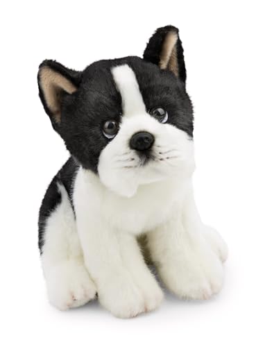 NICI 62602 Cagnolino Boston Terrier di peluche morbido, tenero pupazzo per coccole e giochi, per adulti e bambini, 20 cm, nero