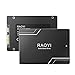RAOYI 256GB Internal SSD SATA III 6Gb/s 2.5” Solid State Drive 3D NAND Flash Advanced SSD Hard Drive Up to 550MB/s SATA 3 SSD Upgrade Performance for PC Laptop