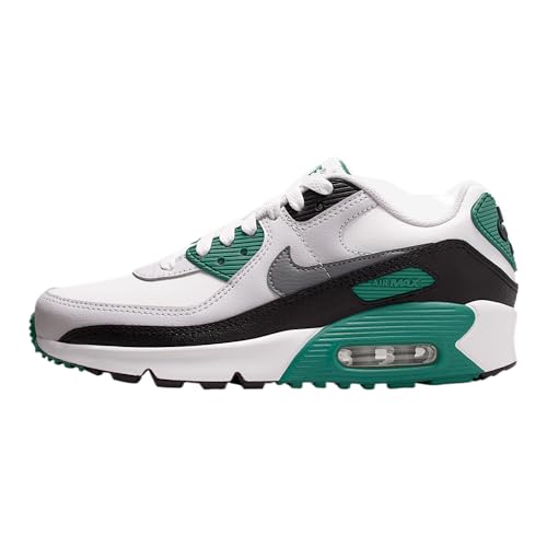 Nike Air Max 90 LTR Big Kids’ Shoes (Evergreen Aura/Summit White/Vast Grey/Cool Grey)