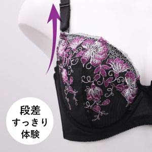 段差すっきり体験 ブラジャー ショーツ セット EF アンダー大きいサイズ 脇高 脇肉