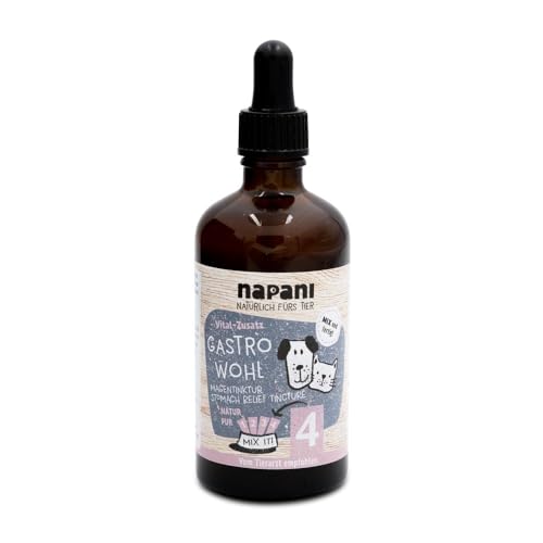 napani GastroWohl Magen-Tinktur für Hunde & Katzen, zur Pflege der Magenschleimhaut, Ergänzungsfuttermittel für Hunde OHNE Alkohol, bei Magenverstimmungen, Appetitlosigkeit & Durchfall, 1 x 100ml