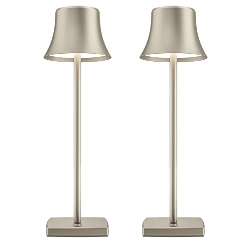 2 Pack LED Cordless Table Lamps Rechargeable,5000mAh Battery Operated Table Light,3 Color Stepless Dimming,Portable Small Desk Lamp in Aluminum for Party Patio Restaurant Indoor/Outdoor(Silver)