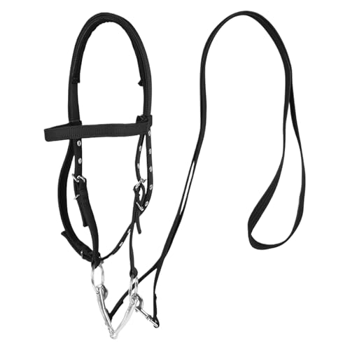Generisch Cabestro para caballos con hebilla, brida de entrenamiento de caballos, ajustable | Cabeza de caballo, cuerda de guía, imprescindible, s, Siehe Beschreibung