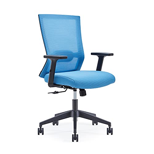 Farini Office Chair, Mid-Back Ergonomic Mesh Chair Executive Swivel Desk Chair with Lumbar Support Adjustable Height Arm (Blue)