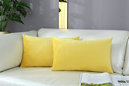 mixeoo Comfy Lemon Yellow Throw Pillow Covers Decorative Lumbar Solid Rectangle Thick Velvet Super Soft Cushion Cases Home Decor for Sofa Couch Living Room Chair, Set of 2, 12 x 20 Inch