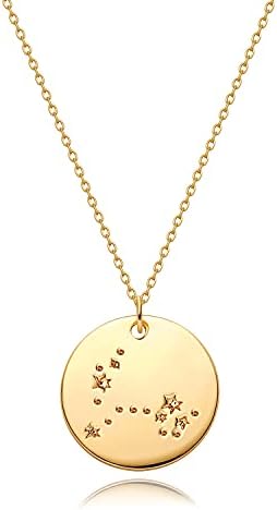 MEVECCO Gold Necklace Coin Disc Zodiac 12 Constellation Pisces Star Engraved Horoscope Sign Astrology Pendant 18K Gold Plated Chain Dainty Personalized Simple Jewelry