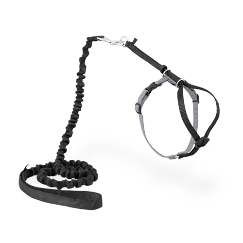 PetSafe Come with Me Kitty Geschirr und Bungee-Leine, Geschirr für Katzen, Größe M, Schwarz/Silber PetSafe Come with Me Kitty Geschirr und Bungee-Leine, Geschirr für Katzen, Größe M, Schwarz/Silber