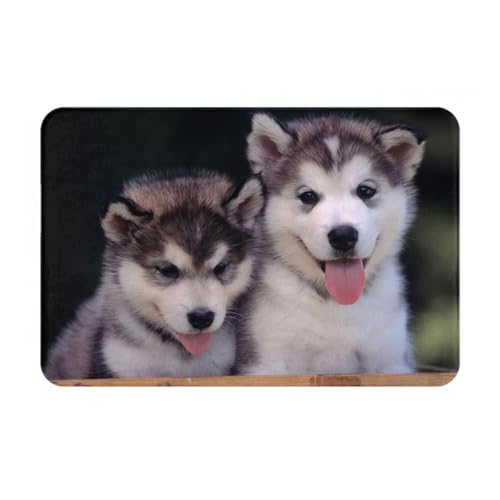 ���փ}�b�g �� ���� ���� ���O ����~�� �􂦂� �k���� �t�����l�� �z������ �h�L �R�� ���� ������� 40×60cm �o�X�}�b�g �L�b�`���}�b�g