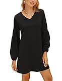 BELONGSCI Women's 2023 Summer Dress Tunic Dress V Neck Casual Loose Flowy Swing Shift Dresses