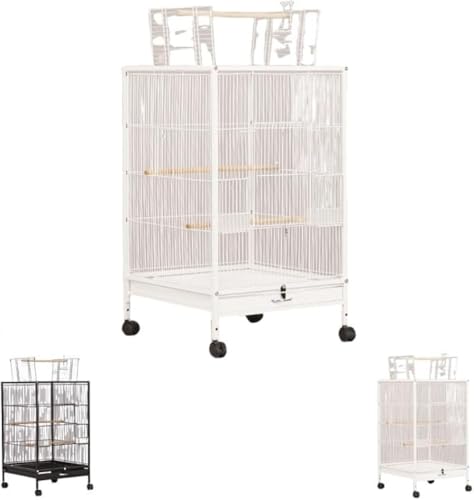 Xiraivke^xP[W Op`FIE/IJCR/NW/{^/jApALX^[tňړȒPEeiXȒPȃo[hnEX?