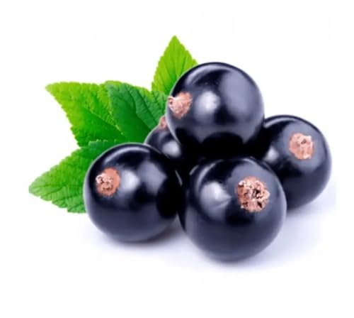 yodeyma parfums CELEBRITY WOMAN Perfume (WOMEN) Eau de Parfum 50 ml - Image 4