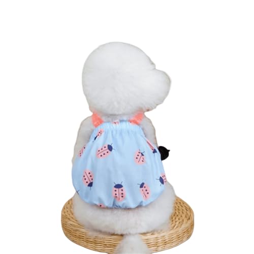 ���킢�� �y�b�g�� ���� �L�� �t�ĕ� �u�₩ T�V���c �h�b�O�E�F�A �g�b�v�X �J���t�� ���^���� ������ �y�b�g�� ���� �L�� ���p �є����h�~ ������ ���� �T�}�[ �y�b�g�p�i �� �� (�u���[, XL)