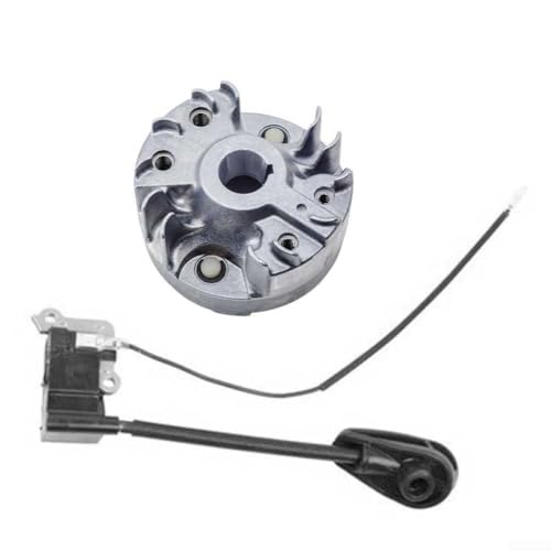 Floweringbeter Zweiteiliges Ersatz-Set: Schwungrad A409001370 und Transformator A411001870 für Echo PB8010H PB8010T PB9010H PB9010T