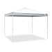Caravan Canopy Sports 21007900010 10x10 V-Series 2 Pro Kit White Canopy, 10'x10' Base 10'x10' top