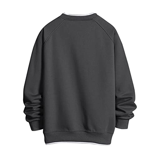トレーナー メンズ 秋服 長袖 パーカー Tシャツ バック プリ