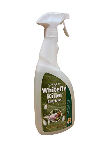 Agralan Whitefly Killer Natural Pest Control Treatment | Protect Tomatoes And Cucumber Plants | 750ml Ready to Use Spray |