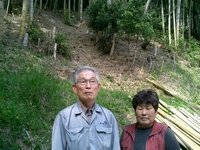 Amazon.co.jp: 山口県産「真竹のたけのこ 」3kg（マダケ、本竹、筍