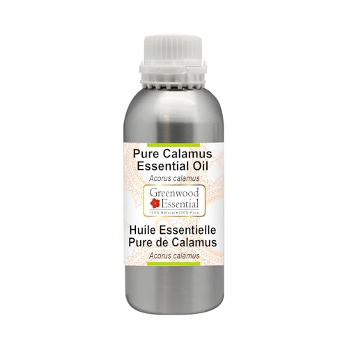 Huile essentielle de calamus Acorus calamus pour un massage relaxant à la maison 300ml