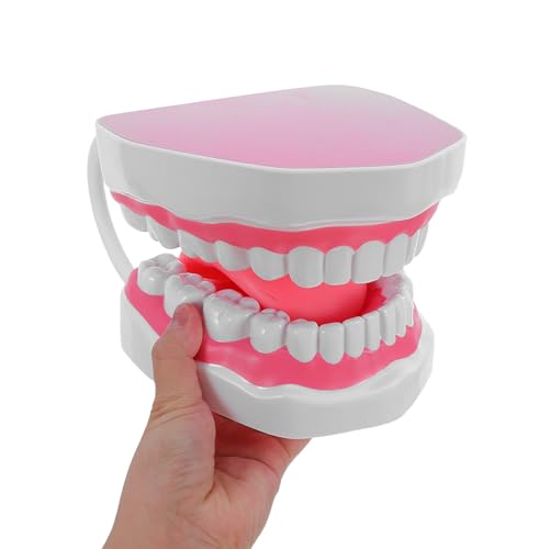 Outil portable pour formation GARVALON dentaire en PVC - 4