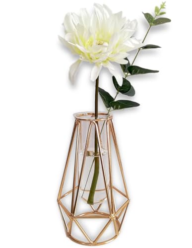 upFRAME ԕr  S[h KXԕr KX ֑} k t[x[X ǉԕr 䟭   CeA KXx[X (i19cmj)