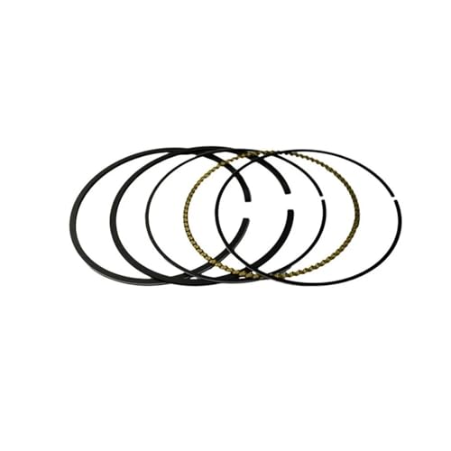 I[goCSTD +25 +50 +100sXgOLbgYBR250 XG250 YFM25R 250 XT250 YS250ɓK(Ring (STD))