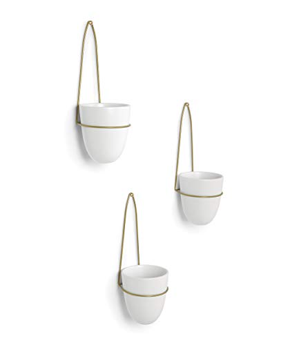 Pots de fleurs à suspendre Umbra Tria : la solution gain de place pour protéger vos plantes