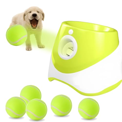 {[`[  {[`[   {[ p {sb` ˋ 3iK\ 6̃~jejX{[t ^ђ^pvX`bN{[`[ {[`[C^NeBuybg{[