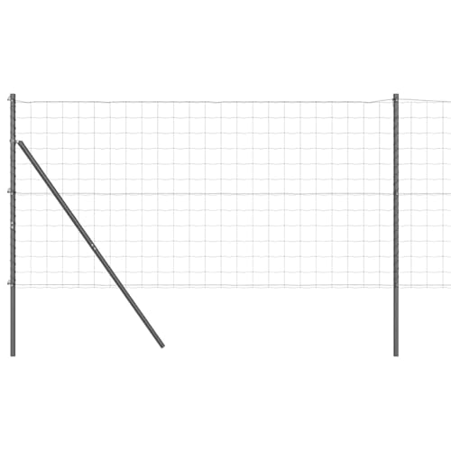 vidaXL Euro Zaun Set aus 2 Grau Pulverbeschichteter Stahl 10 x 1 m