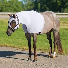 Sleazy Sleepwear for Horses XS Solid Zipper Stretch Hood- Silver