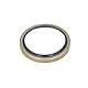 Corteco 12006469B Ring