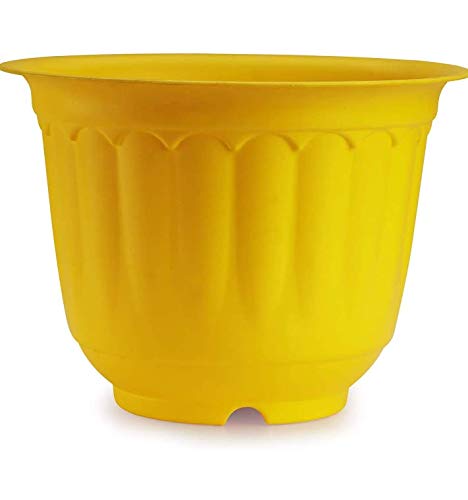 Shree Parshva Jasmine Pot with Bottom Tray Set (10-inch, 3-Pieces) (Yellow), 3 Pieces (B091K951ZP) Amazon Price History, Amazon Price Tracker