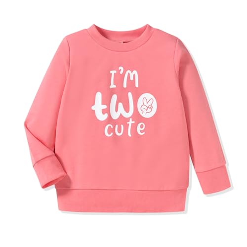 Toddler Girl 2nd Birthday Outfits Im Two Cute Sweatshirt 2 Year Old Birthday Girl Sweatshirt