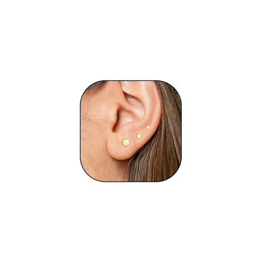 DuoDiner sAX lW ςȂ T[WJXeX sAX fB[X  ZJhsAX AM[Ή WG[ 3yAZbg(S[h[_)