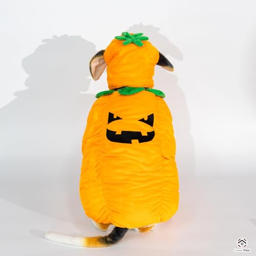 Disfraz de Calabaza para Perros Talla M miniatura 2