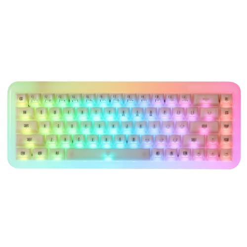 Amazon | Akko(アッコ) YU01 レジン製キーボード 65%英語配列 透明キー