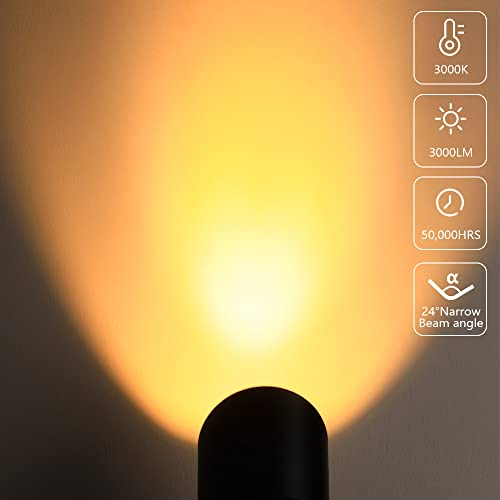 30W Led Spotlights Outdoor Landscape Light,Low Voltage Landscape Spotlight,3000Lm Ultra Bright Spot Light,12V~24V Ac/Dc Waterproof Flag Pole Light With Connectors For Garden Decor (2 Pack Warm White) #TOP2