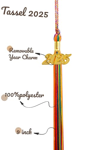 Image of Graduation Single Color Tassel with Gold Date Drop 2025(Rainbow Tassel,Gold Charm)
