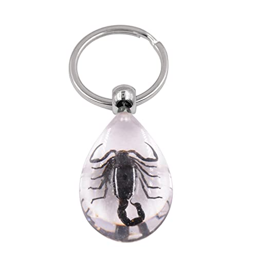 Maouira Mode Ambre Résine Porte-clés Réel Insecte Scorpion Scarabée Araignée Guêpe Fourmi Pendentif Porte-clés Cadeau pour Femmes Hommes Enfants Insecte Porte-clés résine Porte-clés Pendentif – vue 4