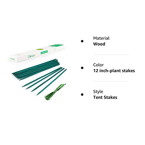 Garsum Green Bamboo Sticks Garden Wood Plant Stakes,Floral Plant Support Wooden,Wooden Sign Posting Garden Sticks,12 Inches 25 Pack #TOP6