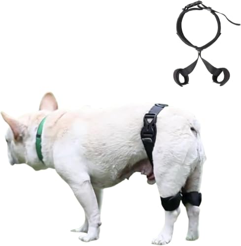 Image of Dog Knee Brace for Support with Cruciate Ligament Injury L | Joint Pain and Muscle Sore, Recovery with ACL Knee Brace for Dogs