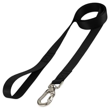 Basic Pet Coleira Guia 2 Metros Para Cães Cachorro Adestramento Passeio Porte Grande Médio Pequeno (Preto, M)