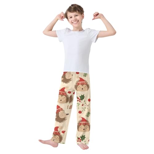 ZZXXB Hedgehog Holly Leaves Boys Long Pants Soft Trousers Elastic Waist Kids Lounge Bottoms with Pockets S-XL2