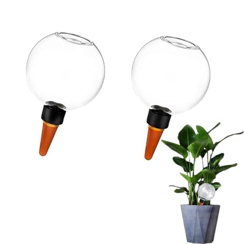 COOGIME Bewässerungskugel 500ml, Automatischer Pflanzenbewässerer Kugel, Transparent Wasserspender - Intelligente Tropfbewässerung für Urlaub, Büro & Faule Gärtner, 2 Stück(500ml) COOGIME Bewässerungskugel 500ml, Automatischer Pflanzenbewässerer Kugel, Transparent Wasserspender - Intelligente Tropfbewässerung für Urlaub, Büro & Faule Gärtner, 2 Stück(500ml)
