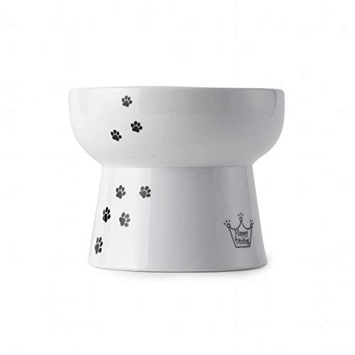 Necoichi Raised Cat Water Bowl, Elevated, With Measurement Lines, Dishwasher And Microwave Safe (Cat, Extra Tall) #TOP1