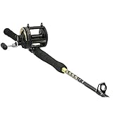 SHIMANO Rod & Reel TLD Fishing Combo Saltwater, TLD25 w/6'6' MH 1pc