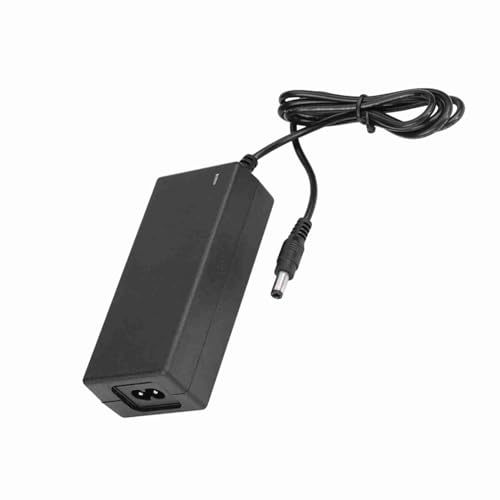 2 A Ricarica Sicura 29 V 2 A 29,4 V per batterie al Litio, spina USA, caricatore da 4 V, alimentatore da 30 Volt, batterie, caricabatterie, alimentatore di rete, cavo adattatore (spina UE 100-240 V)