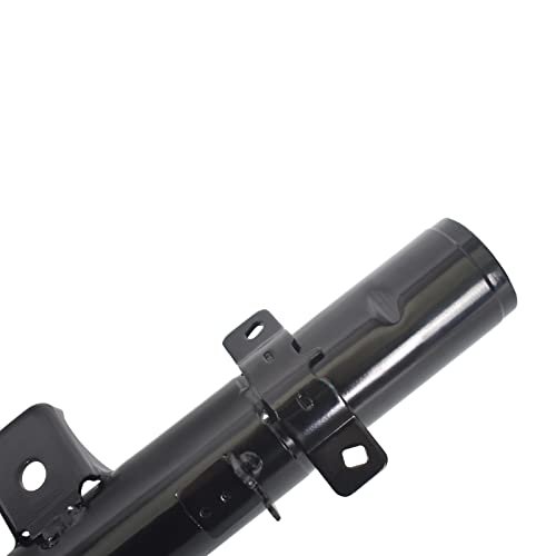 Image of PHILTOP Front Struts for Accord 2013 2014 2015 2016 2017, Shock Absorber Complete Suspension 172970+172971, Struts with Coil Spring Assemblies SAA734 2 Pcs